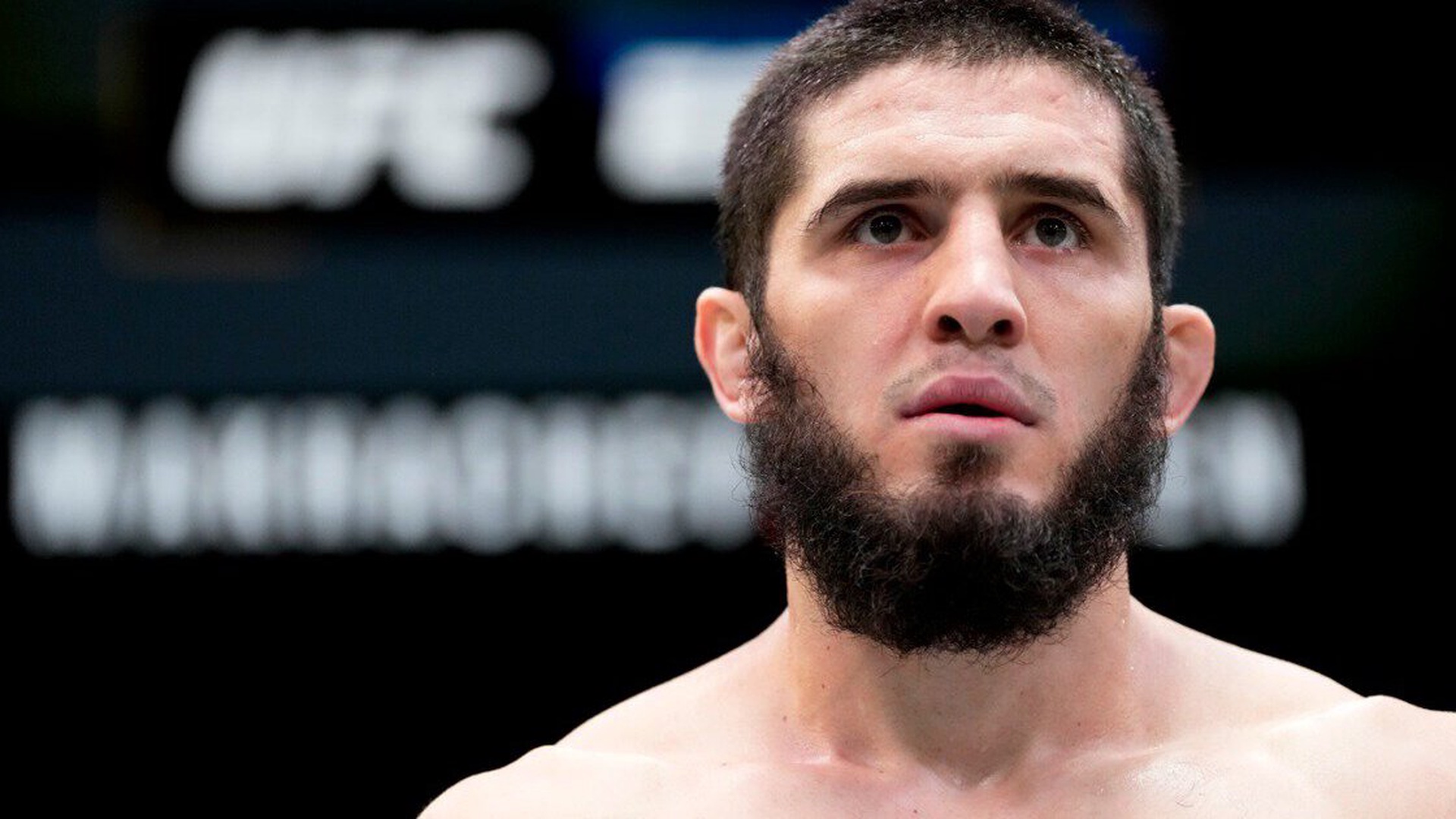 Махачев лучшее. Жена ислама махачева фото. Фото ислама махачева красивые. Махачев лучшее. Махачев лучшее.