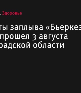 Результаты заплыва «Бьеркезунд» в Ленинградской области