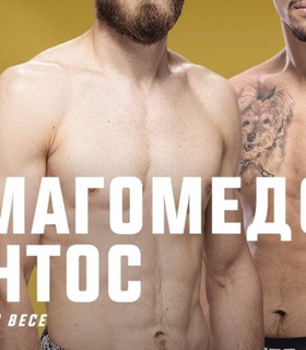 Саид Нурмагомедов и Даниэль Сантос встретятся на UFC 308