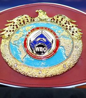 WBO создает комиссию для возвращения российских боксеров на турниры