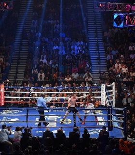 World Boxing введет обязательное гендерное тестирование для спортсменов