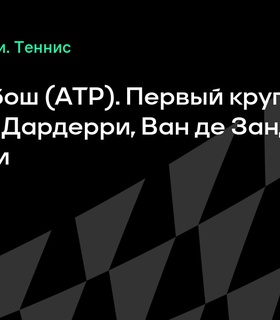 Ботик ван де Зандшульп встретится с Матиа Беллуччи в первом круге турнира в Хертогенбоше