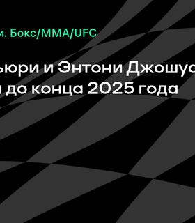 Тайсон Фьюри и Энтони Джошуа могут провести бой до конца 2025 года