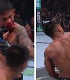 Бой Ройвала и Вана на UFC 317 вошел в историю промоушена