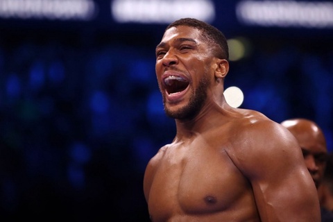 Деметриус Джонсон: думаю, что Джошуа победит Нганну и по правилам MMA Деметриус Джонсон: думаю, что Джошуа победит Нганну и по правилам MMA