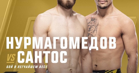 Саид Нурмагомедов и Даниэль Сантос встретятся на UFC 308 Саид Нурмагомедов и Даниэль Сантос встретятся на UFC 308