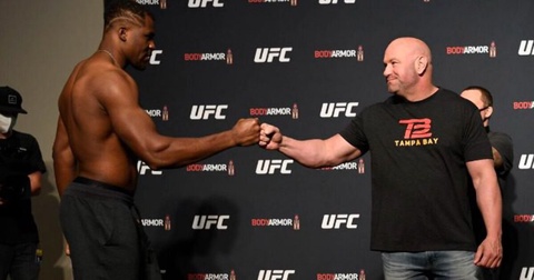 Дана Уайт: Бойцы UFC не будут участвовать в боксерских турнирах Дана Уайт: Бойцы UFC не будут участвовать в боксерских турнирах