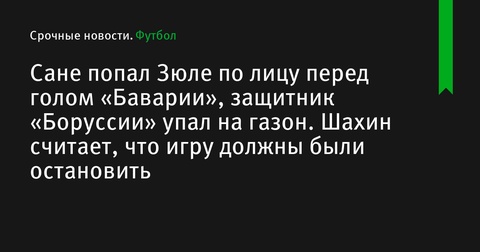 Нури Шахин считает, что классикер должен был быть остановлен перед голом «Баварии»