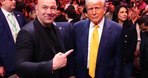Дональд Трамп планирует посетить UFC 316 в Ньюарке Дональд Трамп планирует посетить UFC 316 в Ньюарке